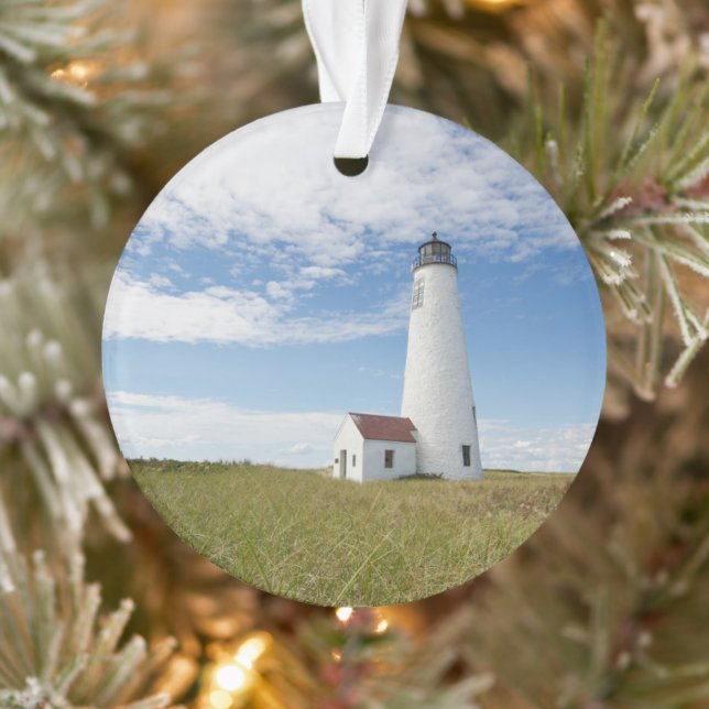 Les phares | Massachusetts de phare (Arbre)