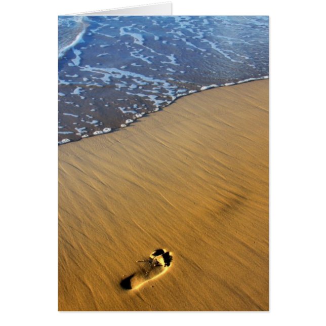 Les pieds dans la plage (Devant)