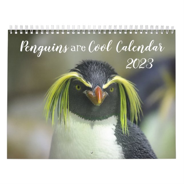 Les pingouins sont le Calendrier Cool 2023 avec de (Protection)