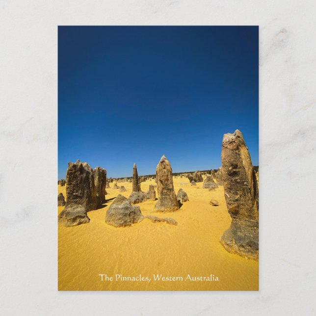 Les Pinnacles, carte postale de l'Australie occide (Devant)