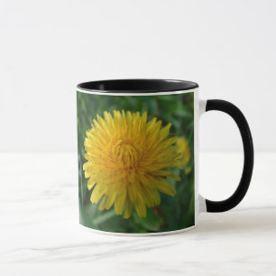 Les pissenlits sont belle trop tasse