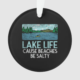 Les plages salées Lake Life