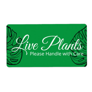 Les Plantes En Vie S'Il Vous Plaît Traiter Avec So