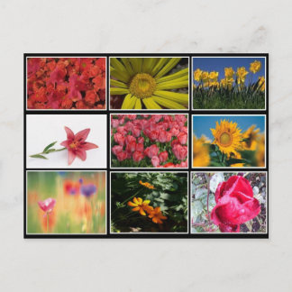 Les plus belles fleurs collage carte postale