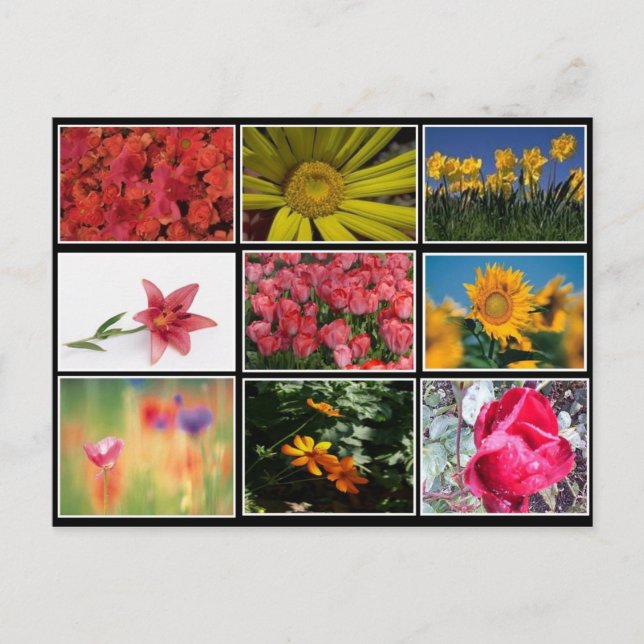 Les plus belles fleurs collage carte postale (Devant)