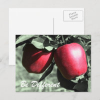 Les Pommes Rouges Soient Différentes Carte Postale
