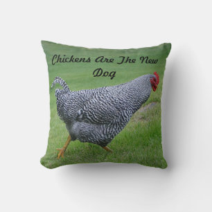 Les Poulets Sont Le Nouveau Coussin De Chien