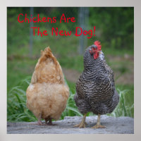 Les Poulets Sont Le Nouveau Poster Du Chien