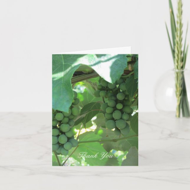 Les raisins sur le Merci des vignes (Devant)
