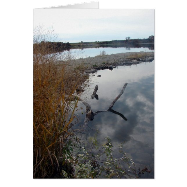 Les Réflexions Parfaites (Devant)