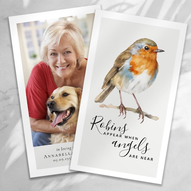 Les Robins Apparaissent Des Anges Près De La Carte (Créateur téléchargé)