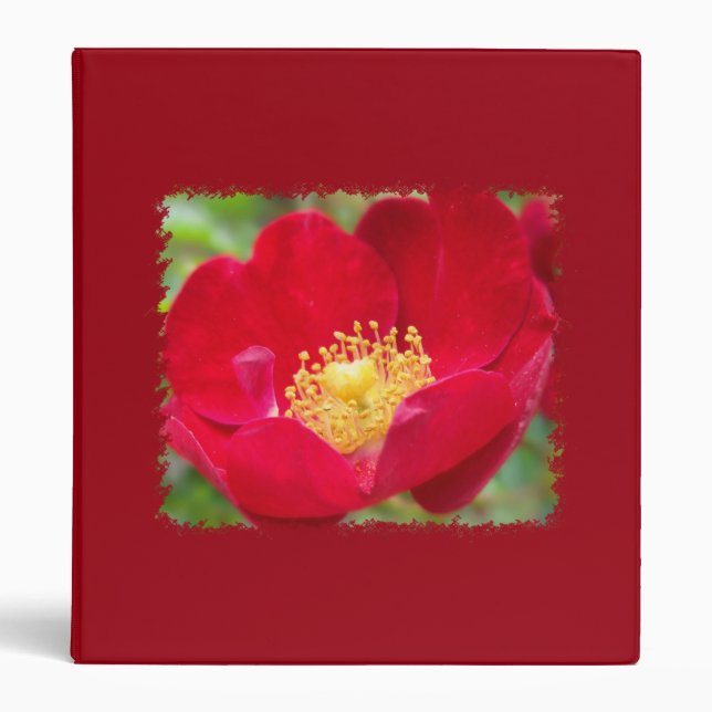 Les roses sont Classeurs rouges (Devant)