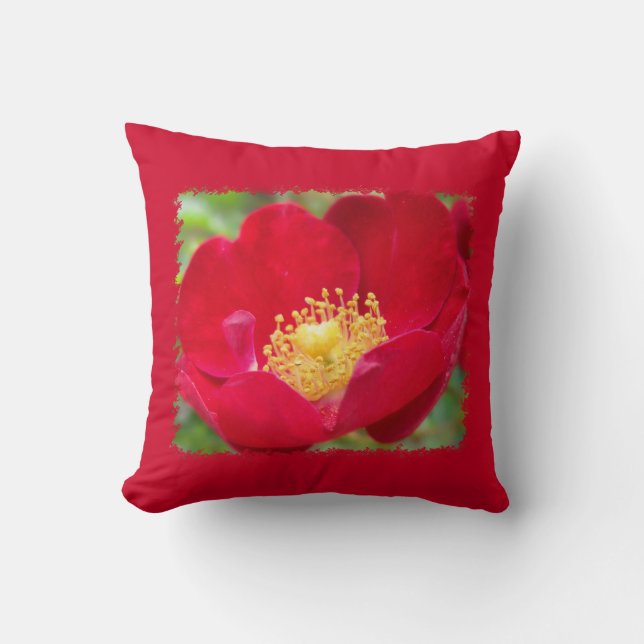 Les roses sont Coussins rouges (Recto)