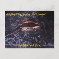 Les salutations de carte postale du cap craignent,