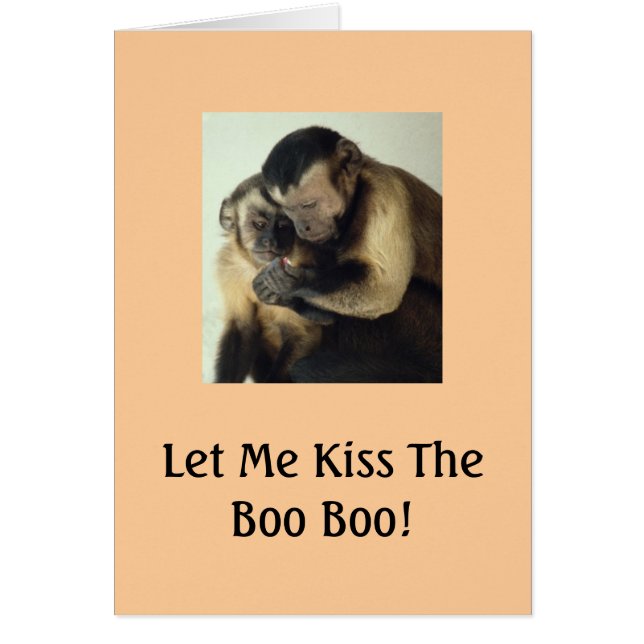 Les singes, Laisse-Moi Embrasser Le Boo Boo ! (Devant)