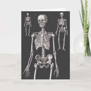 Les Skeletons sont hors du placard ! Carte de vœux
