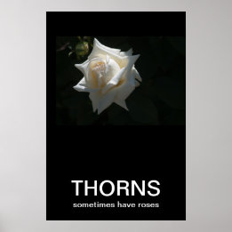 Les Thorns Ont Parfois Des Roses Poster Demotivati