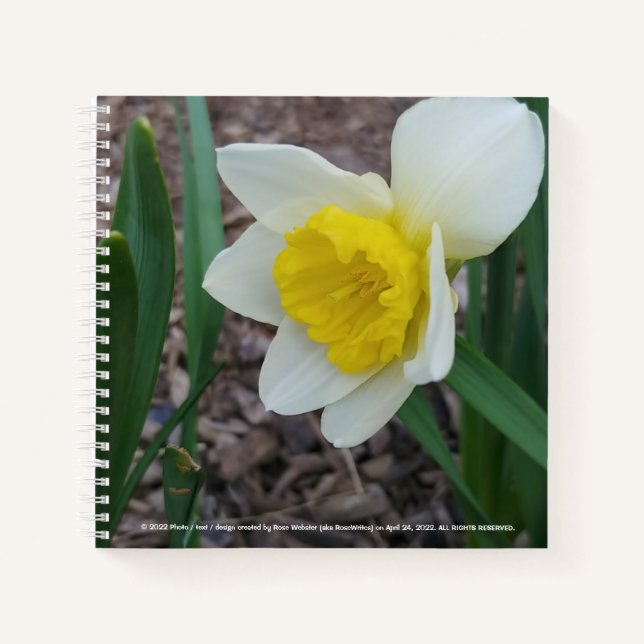 Les trucs que j'aime Carnet par RoseWrites (Devant)