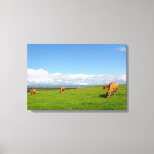 Les vaches frôlant dans un pré dans la toile de