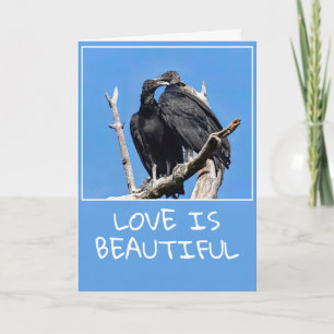 Les Vautours de Love Is Beautiful  Carte de vacanc