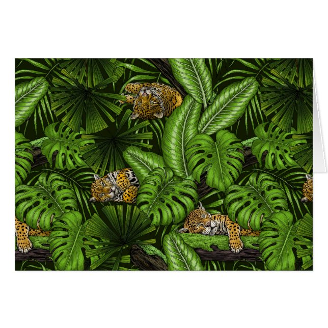 Les villes de la jungle (Devant horizontal)