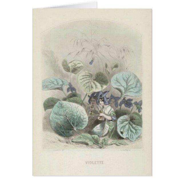 Les violet Fleurs (Devant)