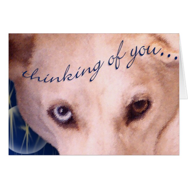 Les yeux l'ont ! (Devant horizontal)