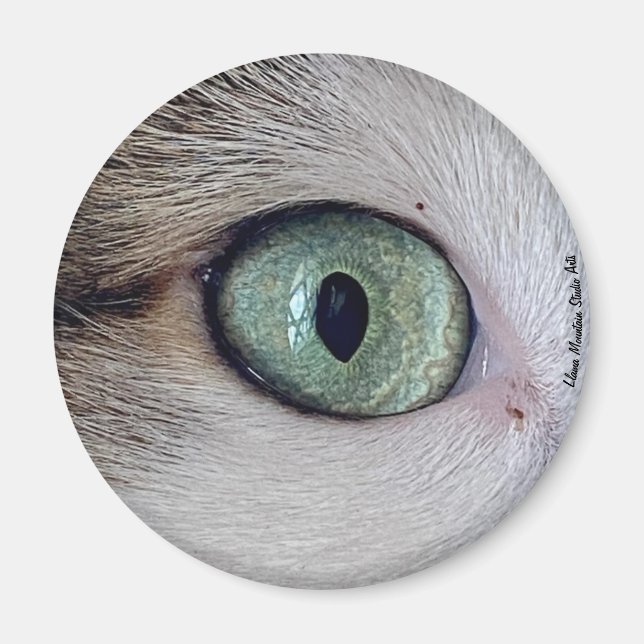 "Les yeux l'ont", aimant oeil de chat (Devant)
