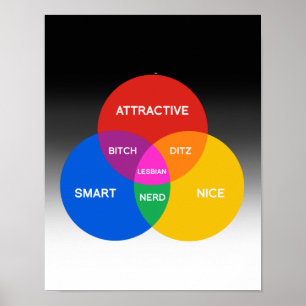 LESBIAN DIAGRAM POSTER