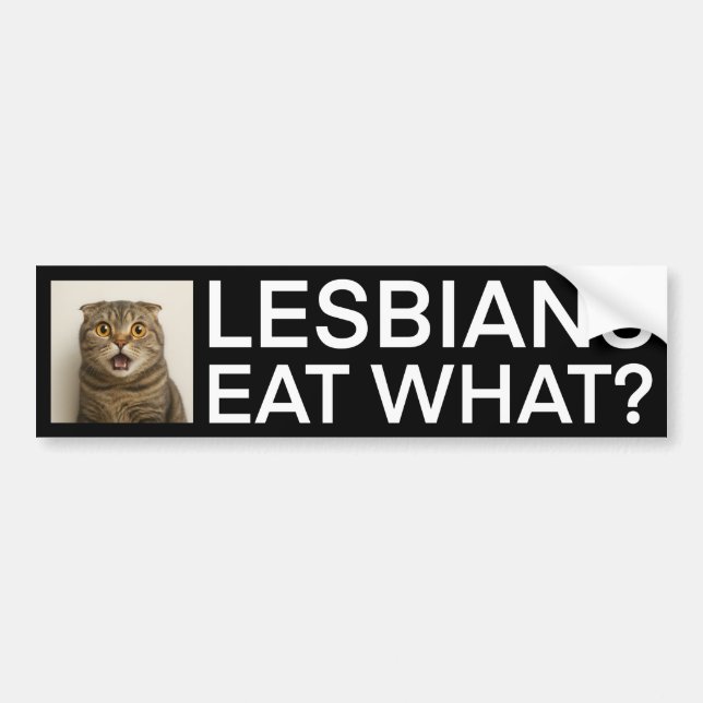 Lesbians Eat What Funny Bumper Sticker (Front)