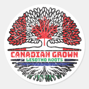 Lesotho Canadian Canada Tree Roots Flag Classic Round Sticker
