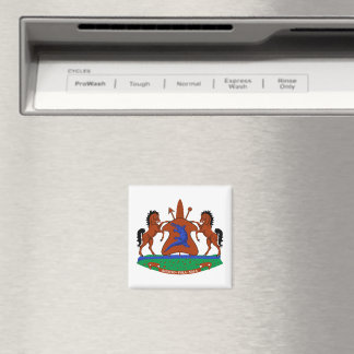 Lesotho coat arms flag country symbol heraldry emb magnet