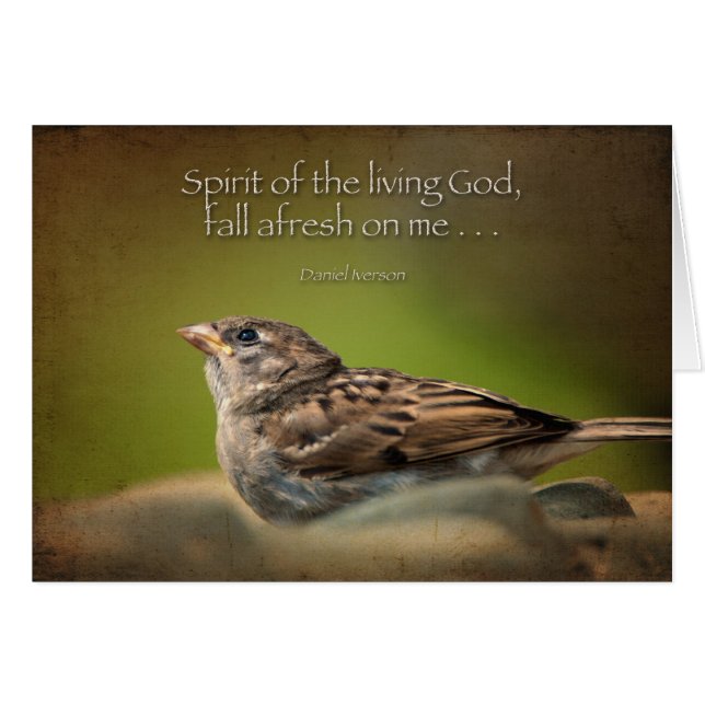 L'Esprit Saint retombe sur moi (Devant horizontal)