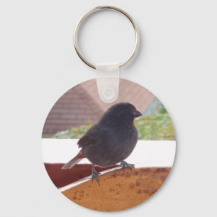 Lesser Antillean Bullfinch Keychain