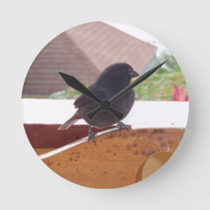Lesser Antillean Bullfinch Round Clock