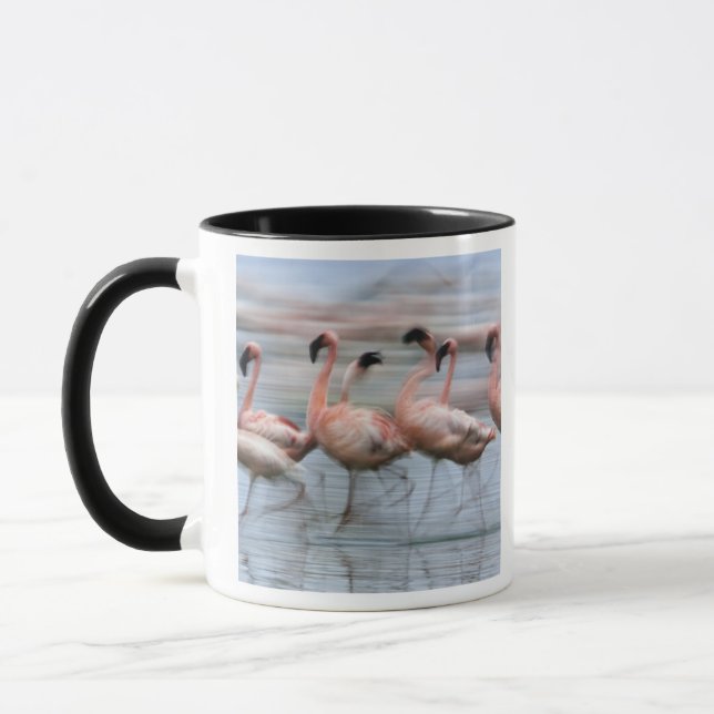 Lesser Flamingos in motion, Phoenicopterus Mug (Left)