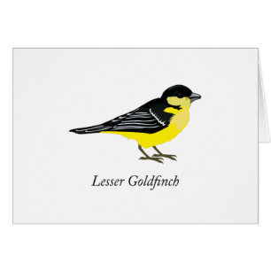 Lesser goldfinch
