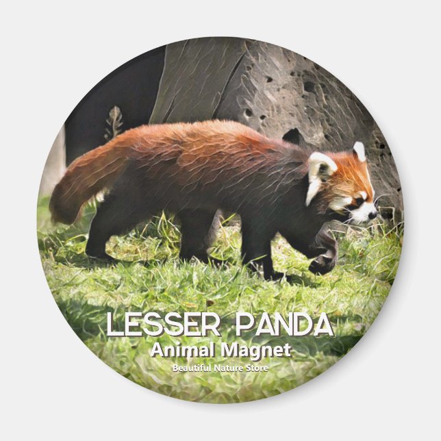 Lesser panda magnet (Front)