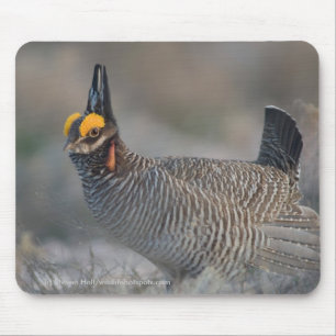 Lesser Prairie Chicken Mouse Pad