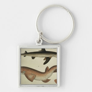 Lesser Spotted Dogfish Keychain