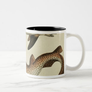 Lesser Spotted Dogfish Two-Tone Coffee Mug