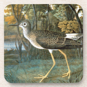 Lesser Yellowlegs Coaster