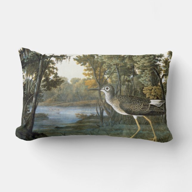 Lesser Yellowlegs Lumbar Pillow (Front)