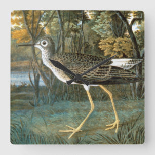 Lesser Yellowlegs Square Wall Clock