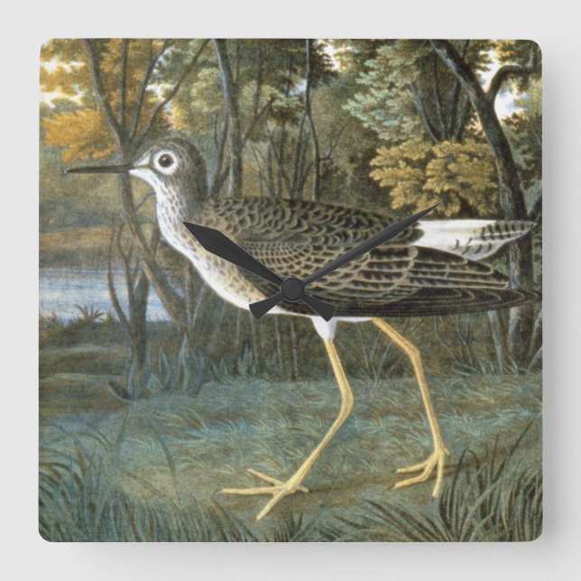 Lesser Yellowlegs Square Wall Clock (Front)
