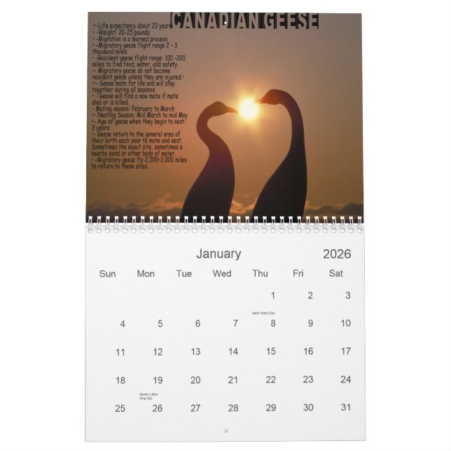 LESSONS FROM GEESE CALENDAR (Jan 2026)