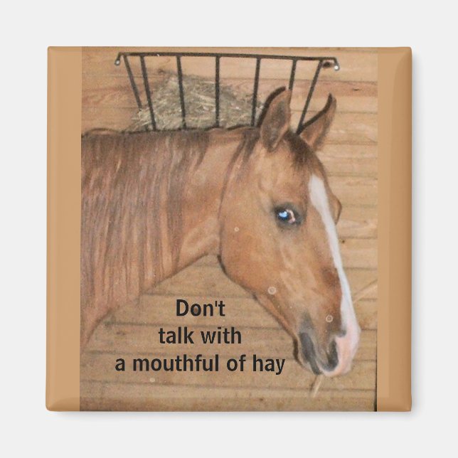 Lessons From Mom - magnet (Front)