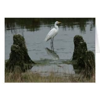 L'estuaire des dunes de Pajaro