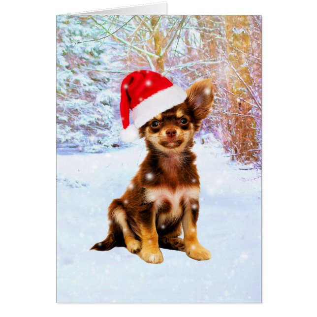 Let it Snow Christmas Holiday Chihuahua Dog (Front)