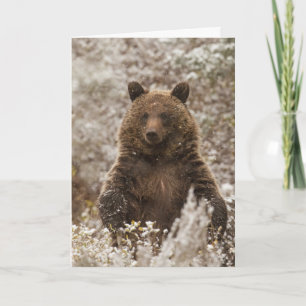 "Let it Snow" Holiday Card